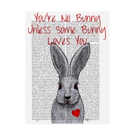 Fab Funky 'Youre No Bunny' Canvas Art,18x24